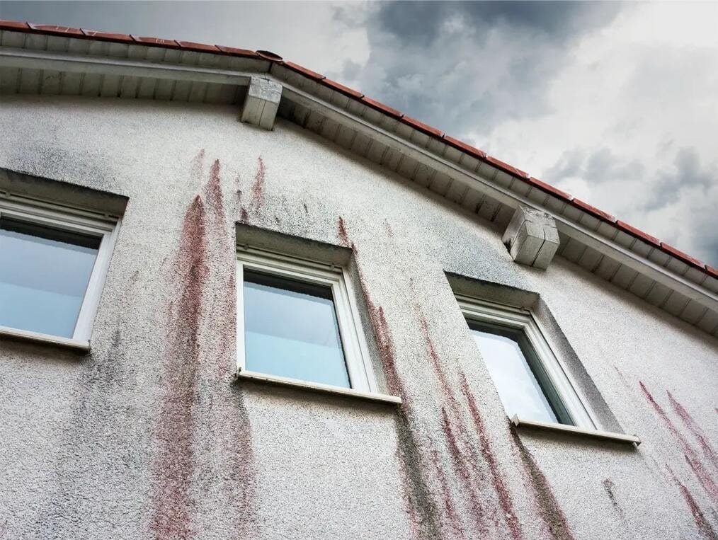 Red algae removal started on a house