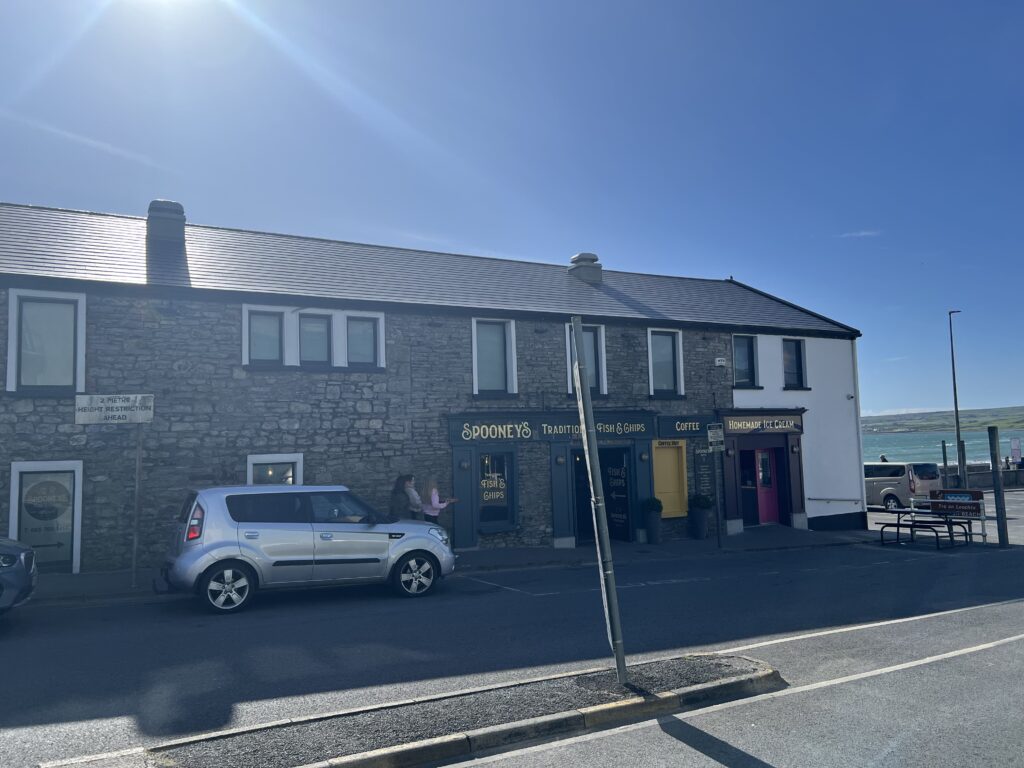 ProPERLA coating used on an Irish house