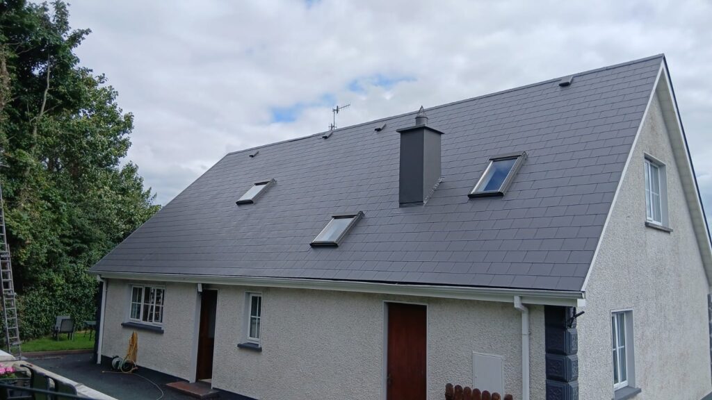 Professional exterior house painters Dublin applying ProPERLA coating