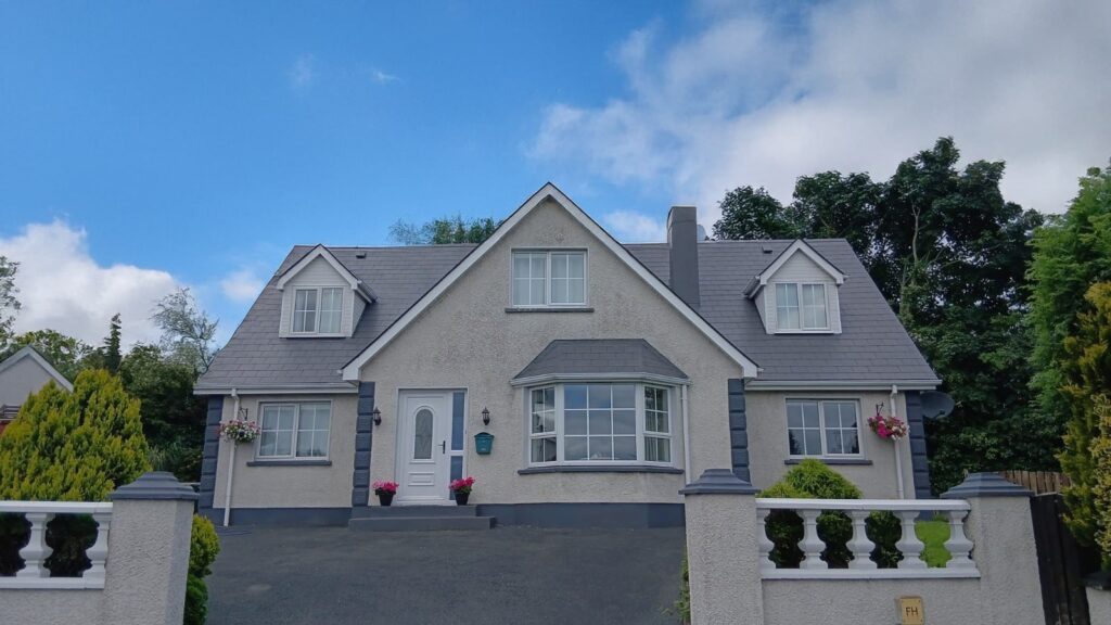 how to remove moss from roof by UEH Ireland
