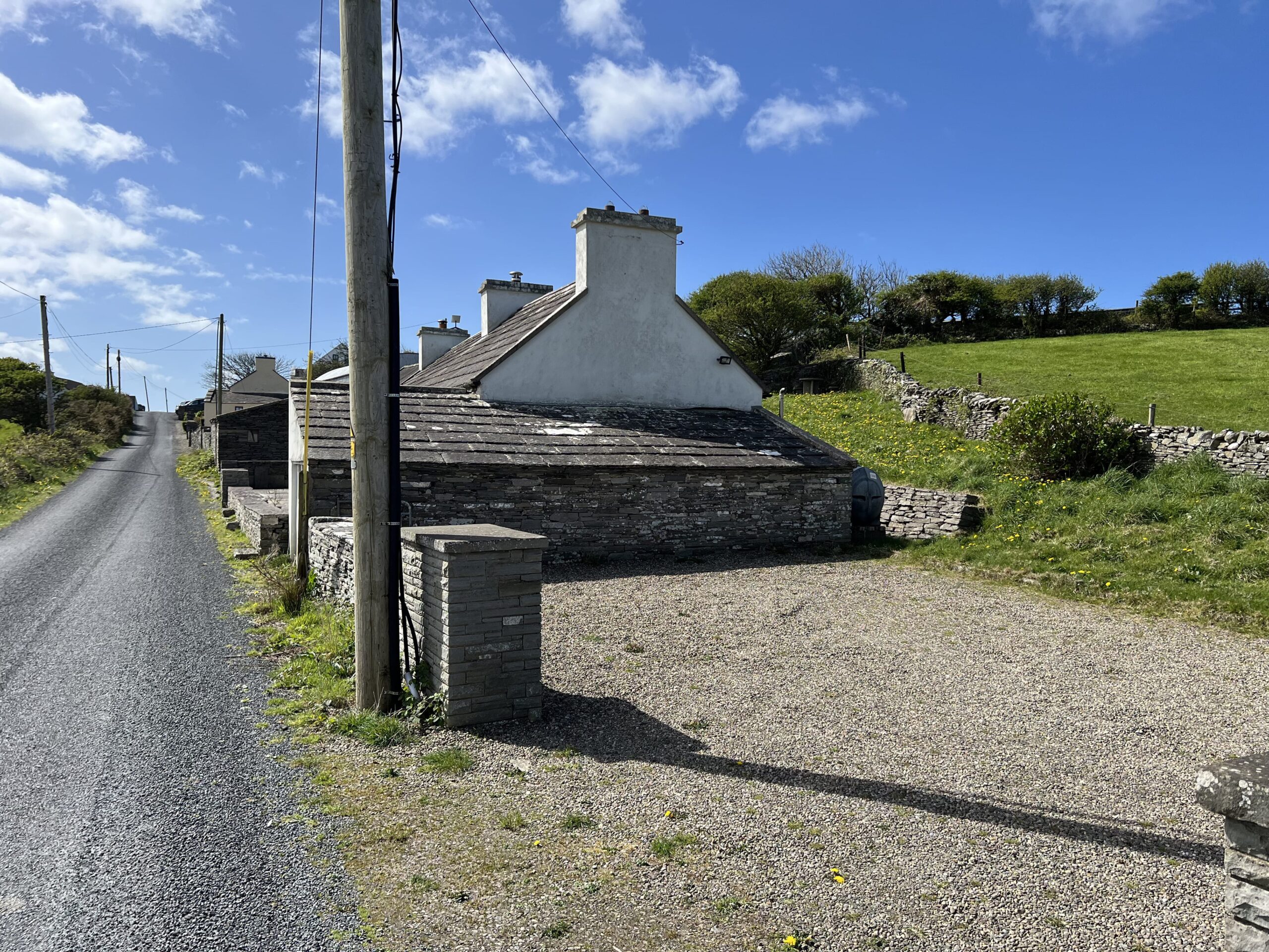 Moss-covered tiles before cleaning moss off roof with professional service in Ireland