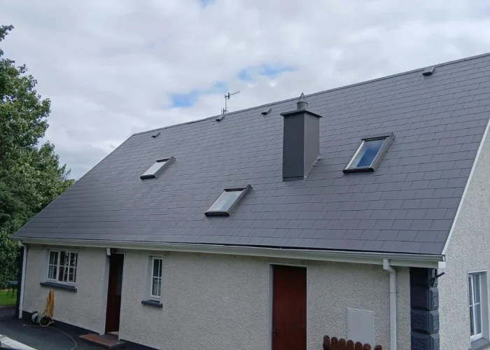 Domestic-Roof-Cleaning-and-Coating-Essex-Universal-Eco-Homes-Group-Ltd-1.webp