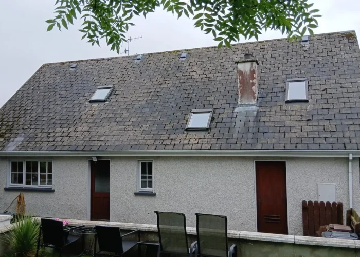 Domestic-Roof-Cleaning-and-Coating-Essex-Universal-Eco-Homes-Group-Ltd-2.webp