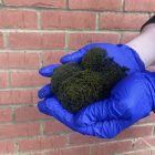 UNiveersal Eco Homes - Moss removal
